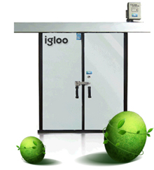 Urethane panel door